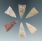 Set of six Triangle points tha are nicely made found in Colorado. Largest is 1 1/4