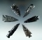 Set of six Obsidian arrowheads found in Lake Co., Oregon, some have some damage.