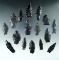 Group of 16 assorted Obsidian arrowheads found in Nevada, largest is 2 1/16