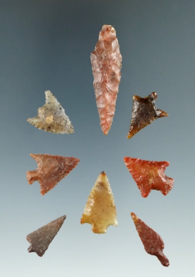 Set of eight assorted Columbia River arrowheads, largest is 1 3/4".