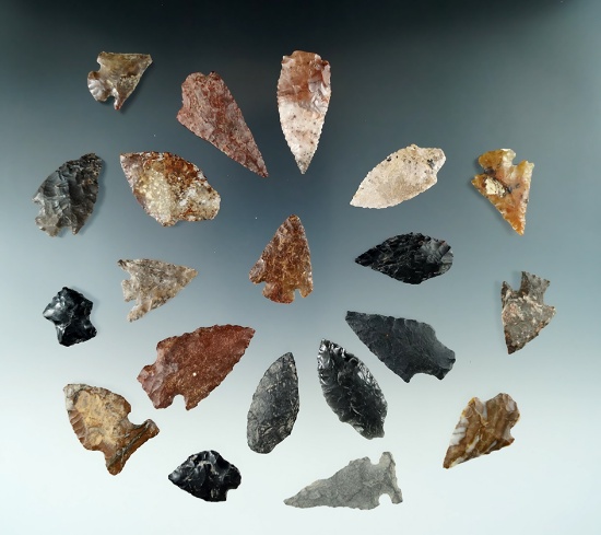 Large group of 20 assorted arrowheads found by Norma Berg near the Columbia River, Washington.