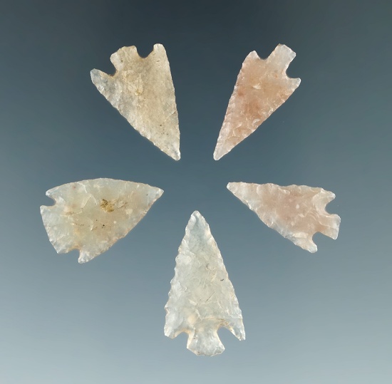 Group of five beautifully translucent Agate arrowheads found in Colorado. Largest is 15/16".