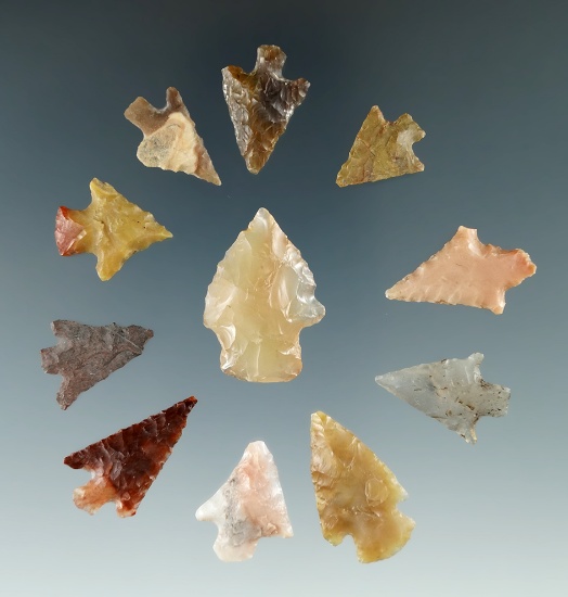Group of 11 assorted arrowheads made from attractive materials found near the Columbia River.