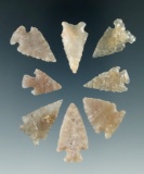 Set of 8 Colorado arrowheads made from nicely translucent materials, largest is 1 1/4