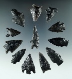 Group of 12 assorted Obsidian arrowheads found in the Great Basin Region. Largest is 1 5/8