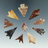 Group of 10 Columbia River arrowheads found by Norma Berg in Washington, largest is 1 1/8