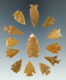 Group of thirteen arrowheads found in Colorado, largest is 1 3/16