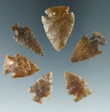 Group of six arrowheads found in Colorado, largest is 1 1/4