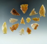 Group of 13 assorted arrowheads made from beautiful translucent material found in Colorado.