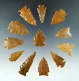 Group of 12 attractive arrowheads found in Colorado, largest is 1 1/4