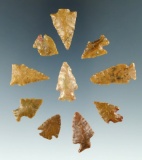Group of 10 assorted arrowheads found in Colorado, largest is 1 3/16
