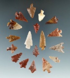 Group of eighteen assorted Gem points found in Washington near the Columbia River.