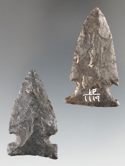 Pair of Intrusive Mound points found in Ohio made from Coshocton Flint. Largest is 1 13/16".
