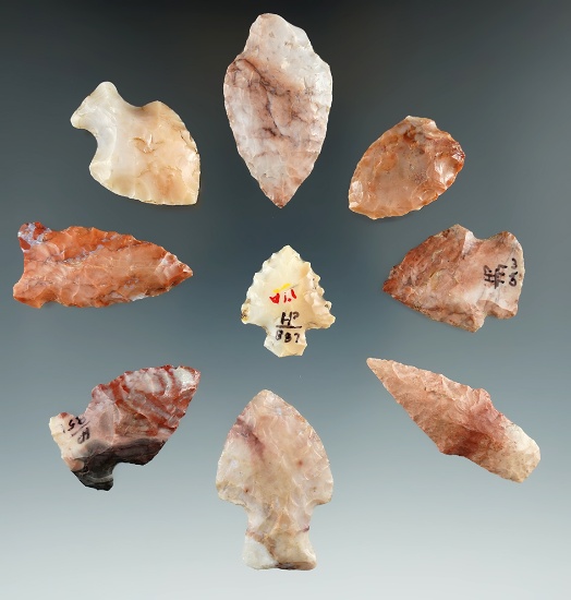 Set of nine colorful Flint Ridge Flint assorted arrowheads found in Ohio, largest is 1 9/16".
