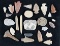 Group of assorted artifacts including Flint, pottery and bone found in Arizona. Largest is 2 3/8