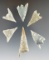 Set of six Gunther points made from Franciscan Chert found in Northern California, largest is 2