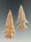 Pair of Archaic Cornernotch points found in Arkansas, both around 2 1/8