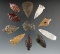 Set of 11 assorted Great Basin arrowheads, largest is 1 9/16