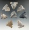 Set of eight Archaic Sidenotch points found in Ohio made from Coshocton Flint, largest is 1 1/2