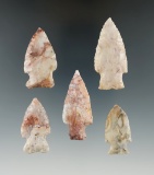 Five highly colored Flint Ridge Archaic and Woodland points. Largest is 1 15/16