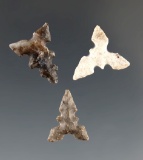 Set of three Toyah points found in Texas. Largest is 5/8