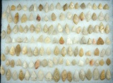 Large group of over 120 Quartz arrowheads found in New Jersey. Largest is 2