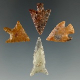 Set of four Columbia River arrowheads, largest is 1 1/8