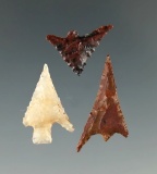 Set of three Columbia River Gem points found in Oregon, largest is 1 1/16