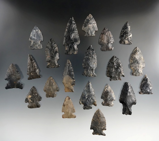 Group of 20 Coshocton Flint arrowheads, largest is 2 1/4".