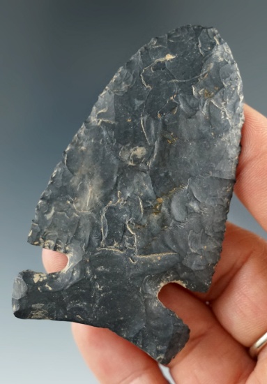 Thin! 2 7/8" Archaic Sidenotch made from Coshocton Flint that is very well flaked.