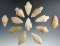 Set of 12 quartz points found in New Jersey, largest is 1 3/4