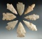 Group of eight assorted Missouri arrowheads in nice condition, largest is 3