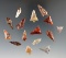 Group of 15 assorted Columbia River Gem points, largest is 13/16