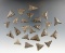 Set of 24 triangle points found at the Cleary site in New York. Most are around 7/8