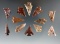 Set of 12 assorted Columbia River arrowheads found by Kaye Don Bruce. Largest is 15/16