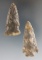 Pair of well-made points found in Ohio, largest is 2 5/16