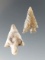 Pair of Columbia River arrowheads in very nice condition, largest is 7/8