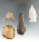 Set of four Florida artifacts including points and scrapers, largest is 2 5/16
