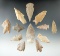 Set of 12 assorted Texas arrowheads, largest is 2 3/8