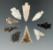 Set of nine assorted Western arrowheads, largest is 1 1/16