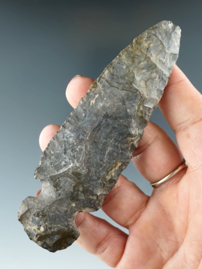 4 5/16" Coshocton Flint Sidenotch Knife found in Noble Co., Ohio.