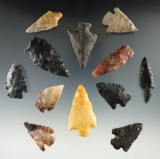 Group of 12 assorted points found near the Columbia River. Largest is 1 11/16