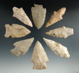 Group of eight assorted Missouri arrowheads in nice condition, largest is 3