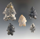 Group of five Archaic bifurcates - Coshocton Flint found in various sites in Richland Co., Ohio.