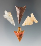 Four very attractive Columbia River arrowheads, largest is 1 1/16