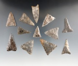 Group of 12 well styled triangle points found in Belfast, Allegheny Co., New York. Ex. Howdy Lang.