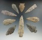 Set of nine projectile points found in Cumberland Co., New Jersey. Ex. George L. Brooks Jr.