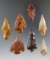 Nice selection of Columbia River arrowheads found near Vantage, Washington - largest is 1 3/4