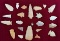 Group of 22 arrowheads found on the Arizona strip 4 or 5 miles from the north rim of the Grand Canyo