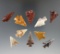 Group of 10 assorted Columbia River arrowheads Found near Goldendale, Klickitat County Washington..